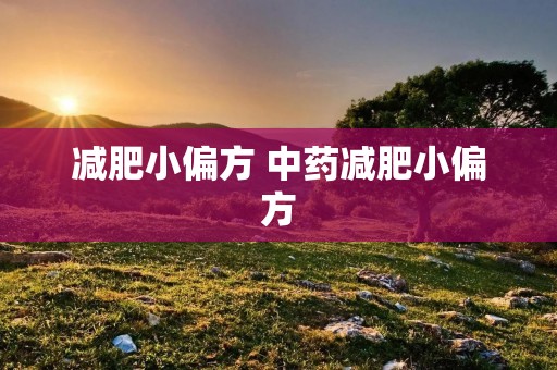 减肥小偏方 中药减肥小偏方