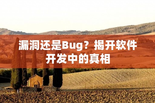 漏洞还是Bug?揭开软件开发中的真相
