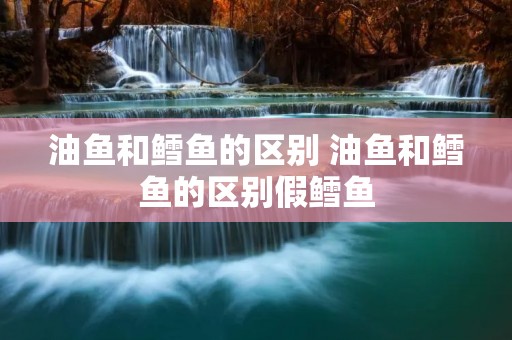 油鱼和鳕鱼的区别 油鱼和鳕鱼的区别假鳕鱼