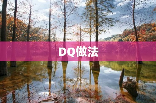 DQ做法:一种有效的问题解决方法 DQ做法:一种有效的问题解决方法