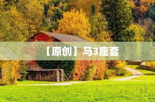 【原创】马3座套：让你的座驾更加时尚个性