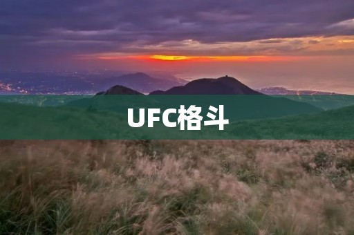 UFC格斗：让拳击远离暴力的竞技体育
