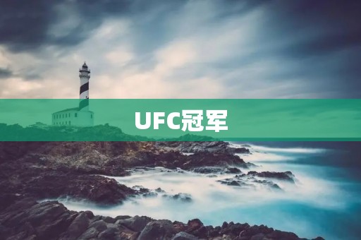UFC冠军:他们的荣耀与付出 UFC冠军:他们的荣耀与付出