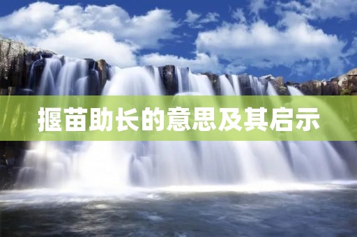 揠苗助长的意思及其启示