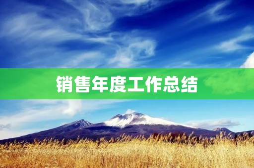 销售年度工作总结:稳步前行,再创佳绩