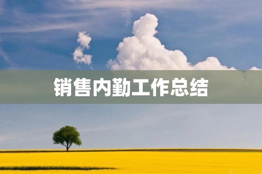 销售内勤工作总结