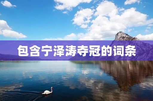 包含宁泽涛夺冠的词条