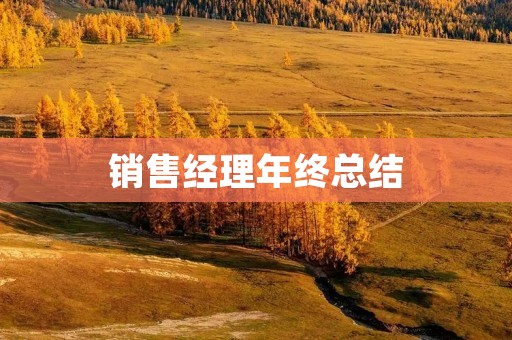 销售经理年终总结:挑战与机遇并存
