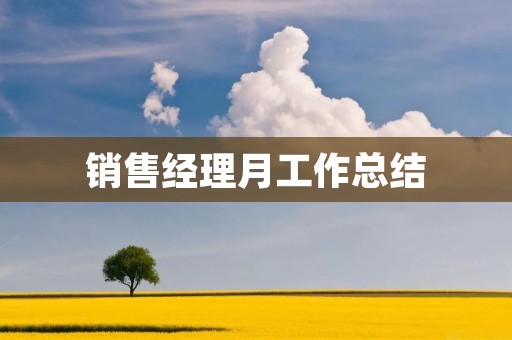 销售经理月工作总结