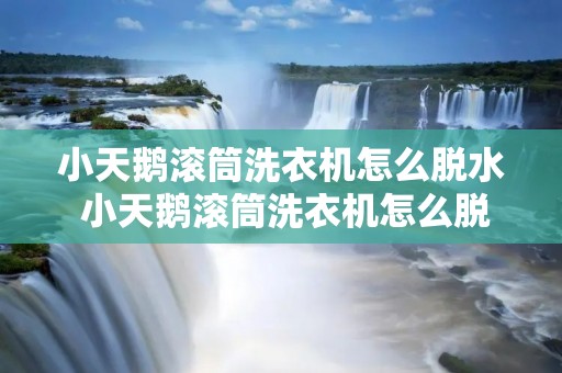 小天鹅滚筒洗衣机怎么脱水 小天鹅滚筒洗衣机怎么脱水教程