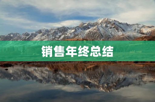销售年终总结:成功与挑战