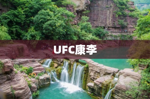 UFC康李:一位中国选手的崛起 UFC康李:一位中国选手的崛起