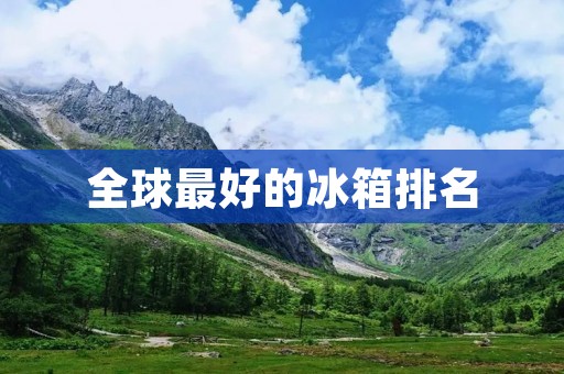 全球最好的冰箱排名：2021年最值得购买的冰箱推荐