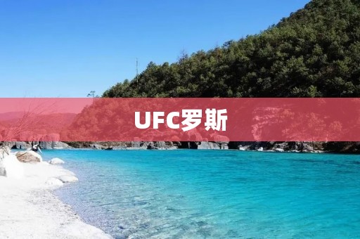 UFC罗斯:重新定义搏击竞技的冠军之路 UFC罗斯:重新定义搏击竞技的冠军之路