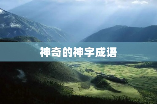 神奇的神字成语