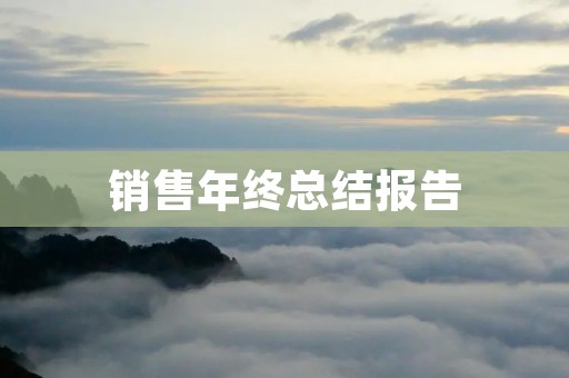 销售年终总结报告：2020年销售回顾与未来展望