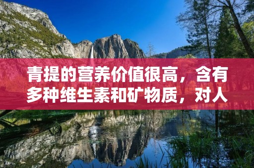 青提的营养价值很高,含有多种维生素和矿物质,对人体有着很好的保健作用。青提可以吃生吃,也可以烹饪,下面就为大家介绍几种青提做法。 青提的营养价值很高,含有多种维生素和矿物质,对人体有着很好的保健作用。青提可以吃生吃,也可以烹饪,下面就为大家介绍几种青提做法。