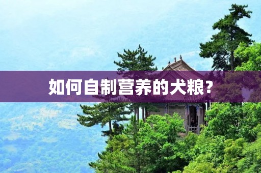 如何自制营养的犬粮？
