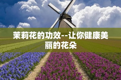 茉莉花的功效--让你健康美丽的花朵 茉莉花的功效--让你健康美丽的花朵