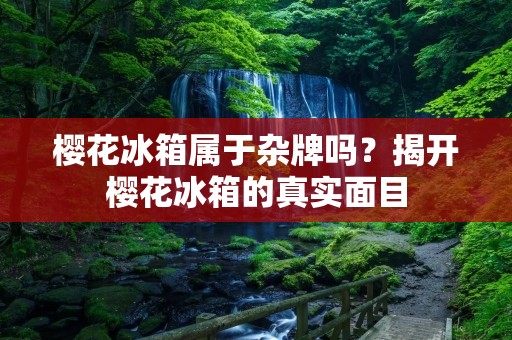樱花冰箱属于杂牌吗？揭开樱花冰箱的真实面目