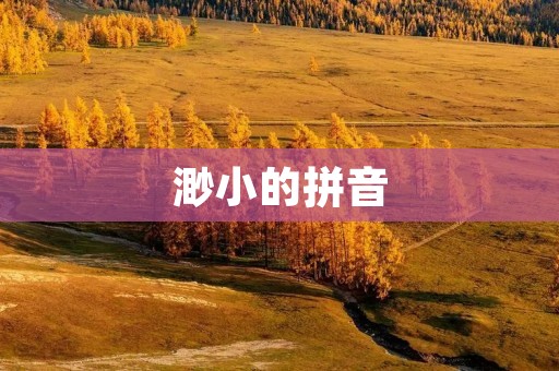 渺小的拼音:一个被忽视的文化符号