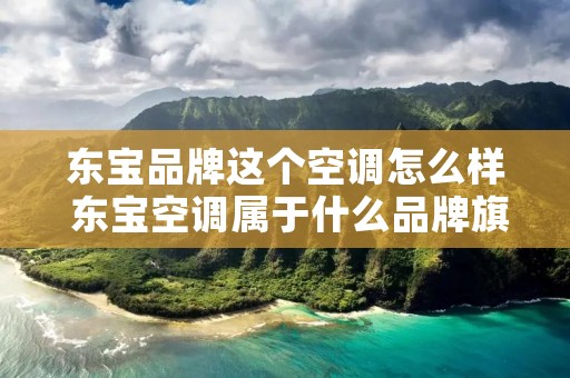 东宝品牌这个空调怎么样 东宝空调属于什么品牌旗下