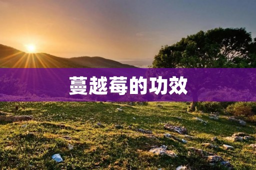 蔓越莓的功效:预防尿路感染,降低心脏病风险,抗氧化,预防癌症 蔓越莓的功效:预防尿路感染,降低心脏病风险,抗氧化,预防癌症