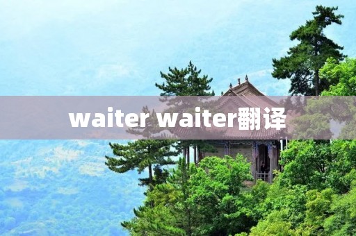 waiter waiter翻译 waiter waiter翻译