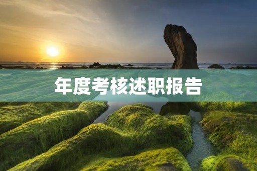 年度考核述职报告:我所做的与未来的发展