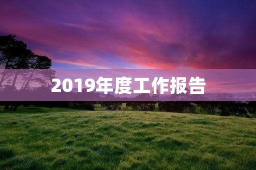 2019年度工作报告