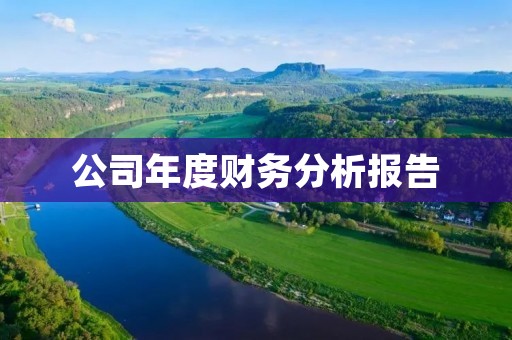 公司年度财务分析报告