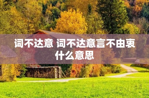 词不达意 词不达意言不由衷什么意思 词不达意 词不达意言不由衷什么意思