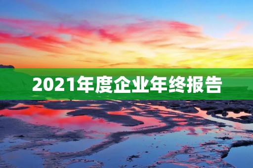 2021年度企业年终报告:持续创新,稳健发展