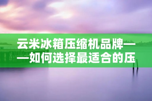 云米冰箱压缩机品牌——如何选择最适合的压缩机？