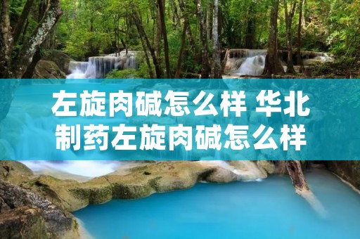 左旋肉碱怎么样 华北制药左旋肉碱怎么样