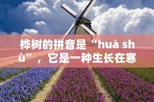 桦树的拼音是“huà shù”，它是一种生长在寒带和温带地区的乔木，也是我国北方地区常见的树种之一。桦树的树皮光滑而洁白，树干笔直挺拔，树冠丰满美丽，因此被誉为“白桦树”。