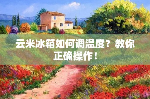 云米冰箱如何调温度？教你正确操作！