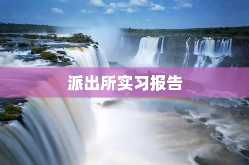 派出所实习报告
