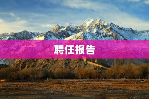 聘任报告:关于XXX的聘任报告