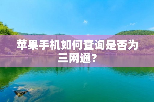 苹果手机如何查询是否为三网通？