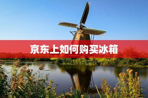 京东上如何购买冰箱：详细指南