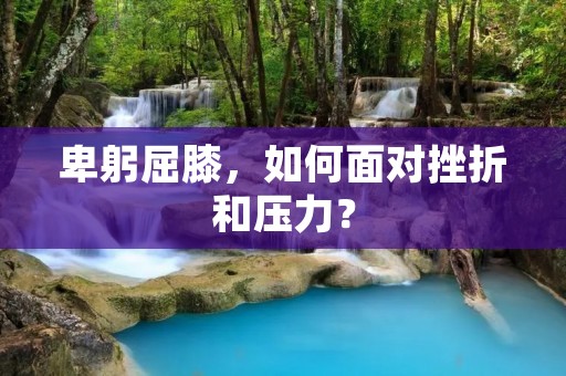 卑躬屈膝,如何面对挫折和压力?