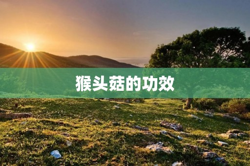 猴头菇的功效：美容养颜，增强免疫力，降低血糖和胆固醇