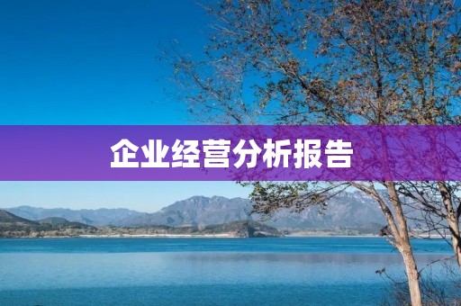 企业经营分析报告:为企业发展提供有力支撑