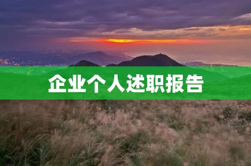 企业个人述职报告:我在过去一年的工作总结