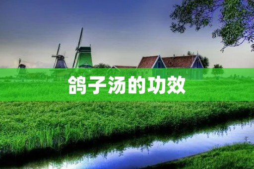 鸽子汤的功效:滋补养生,补气养血,健脾益肾 鸽子汤的功效:滋补养生,补气养血,健脾益肾