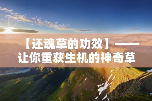 【还魂草的功效】——让你重获生机的神奇草药 【还魂草的功效】——让你重获生机的神奇草药