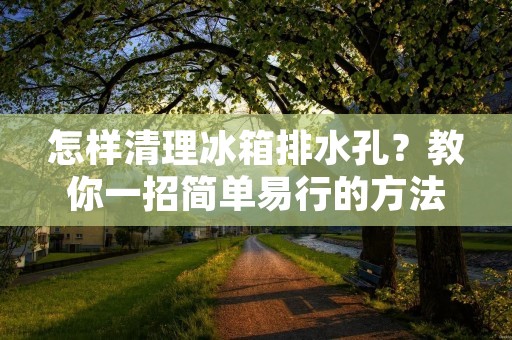 怎样清理冰箱排水孔？教你一招简单易行的方法