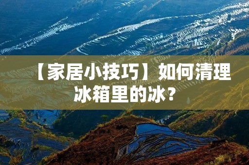 【家居小技巧】如何清理冰箱里的冰？