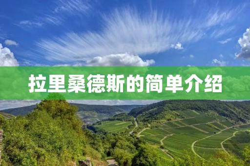 拉里桑德斯的简单介绍